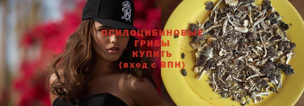 эйфоретик Абаза
